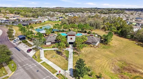 6637 Wagon Trail Street Zephyrhills FL 33541