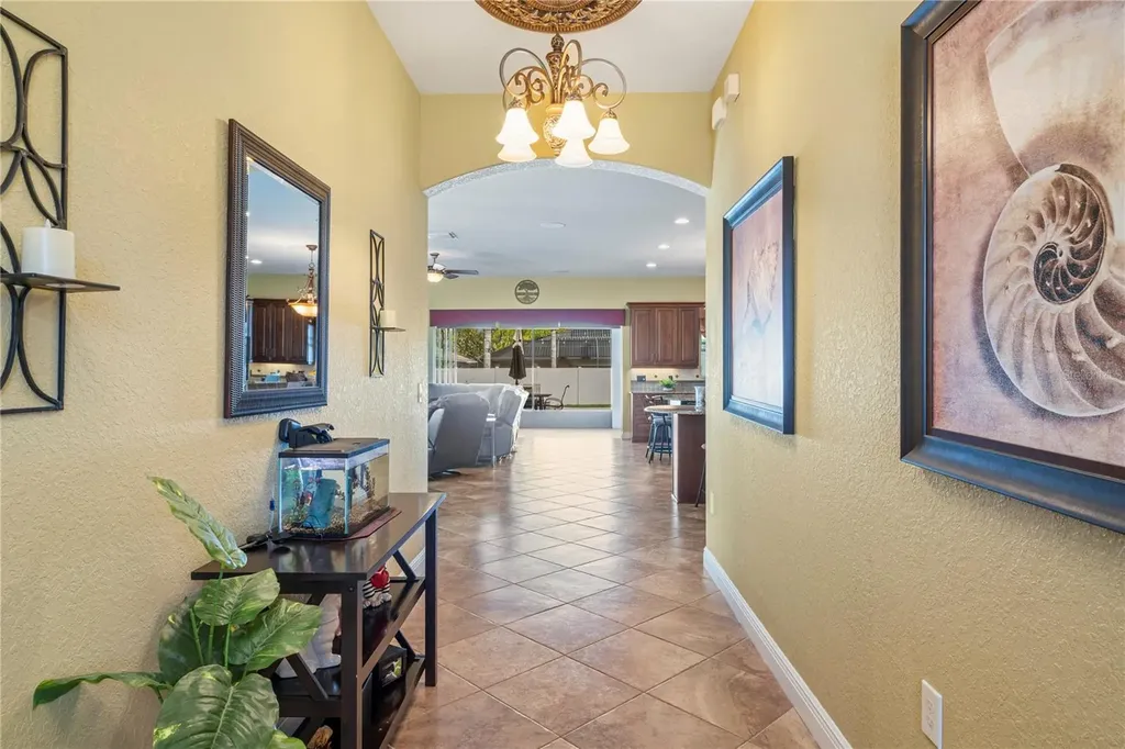 204 Bengal Circle Oldsmar FL 34677