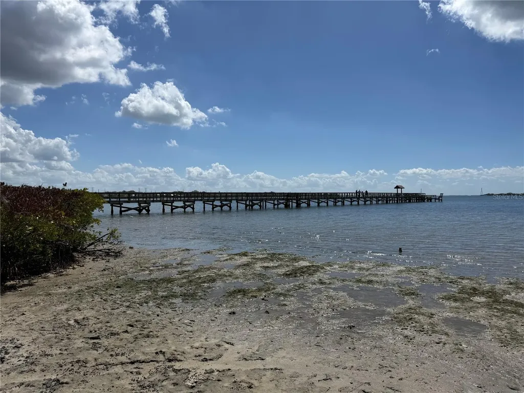 204 Bengal Circle Oldsmar FL 34677