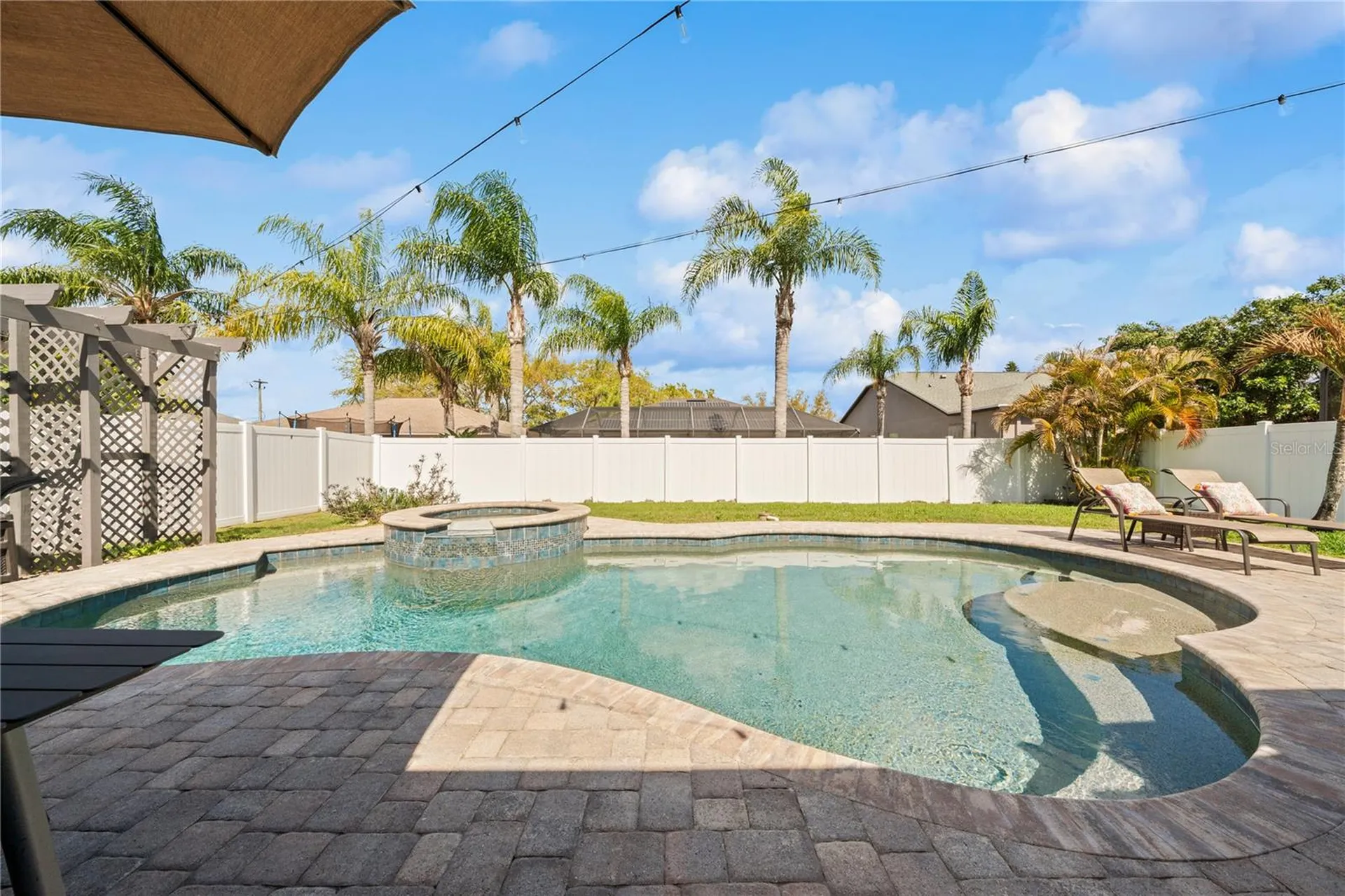 204 Bengal Circle Oldsmar FL 34677