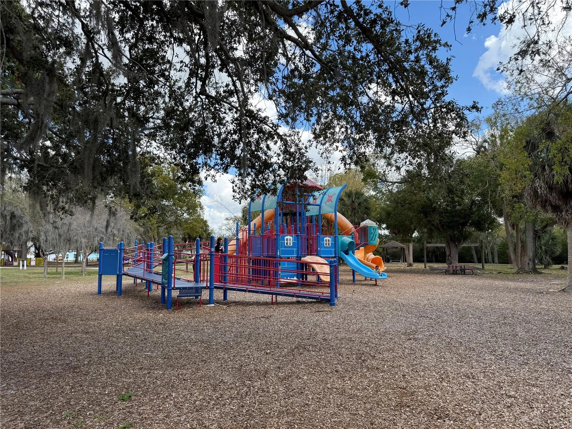 204 Bengal Circle Oldsmar FL 34677