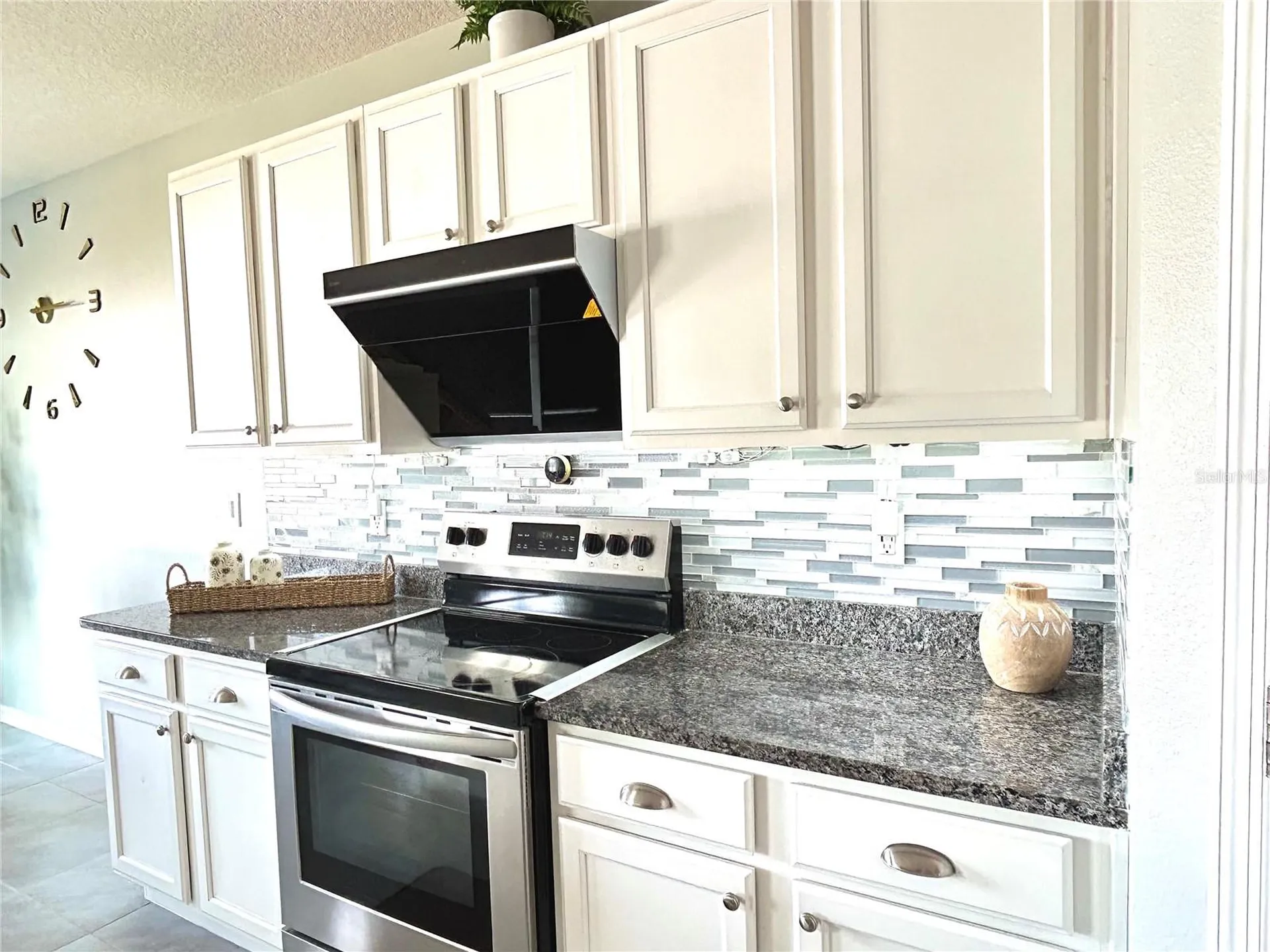 3048 Bethpage Loop Mount Dora FL 32757