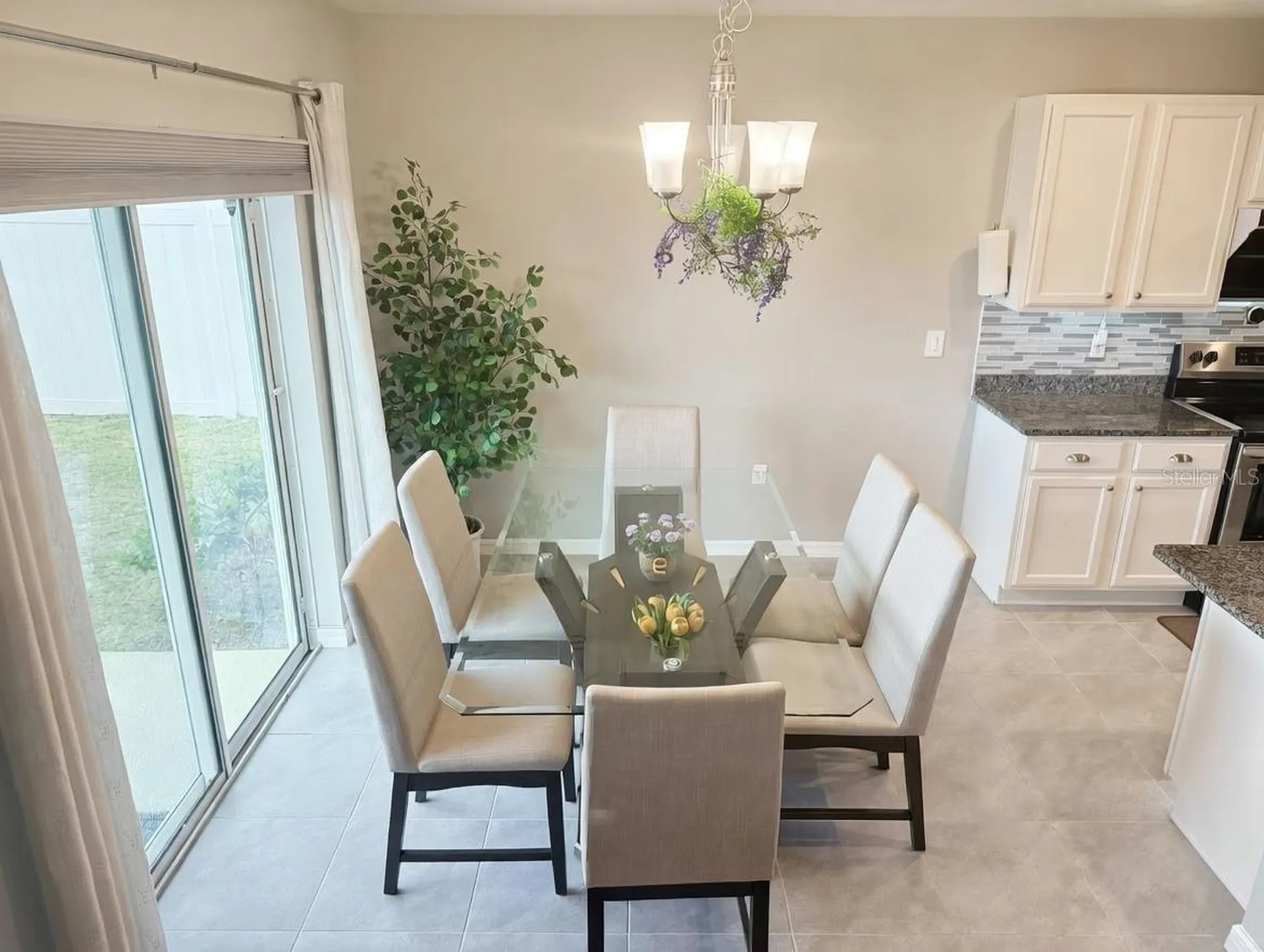 3048 Bethpage Loop Mount Dora FL 32757