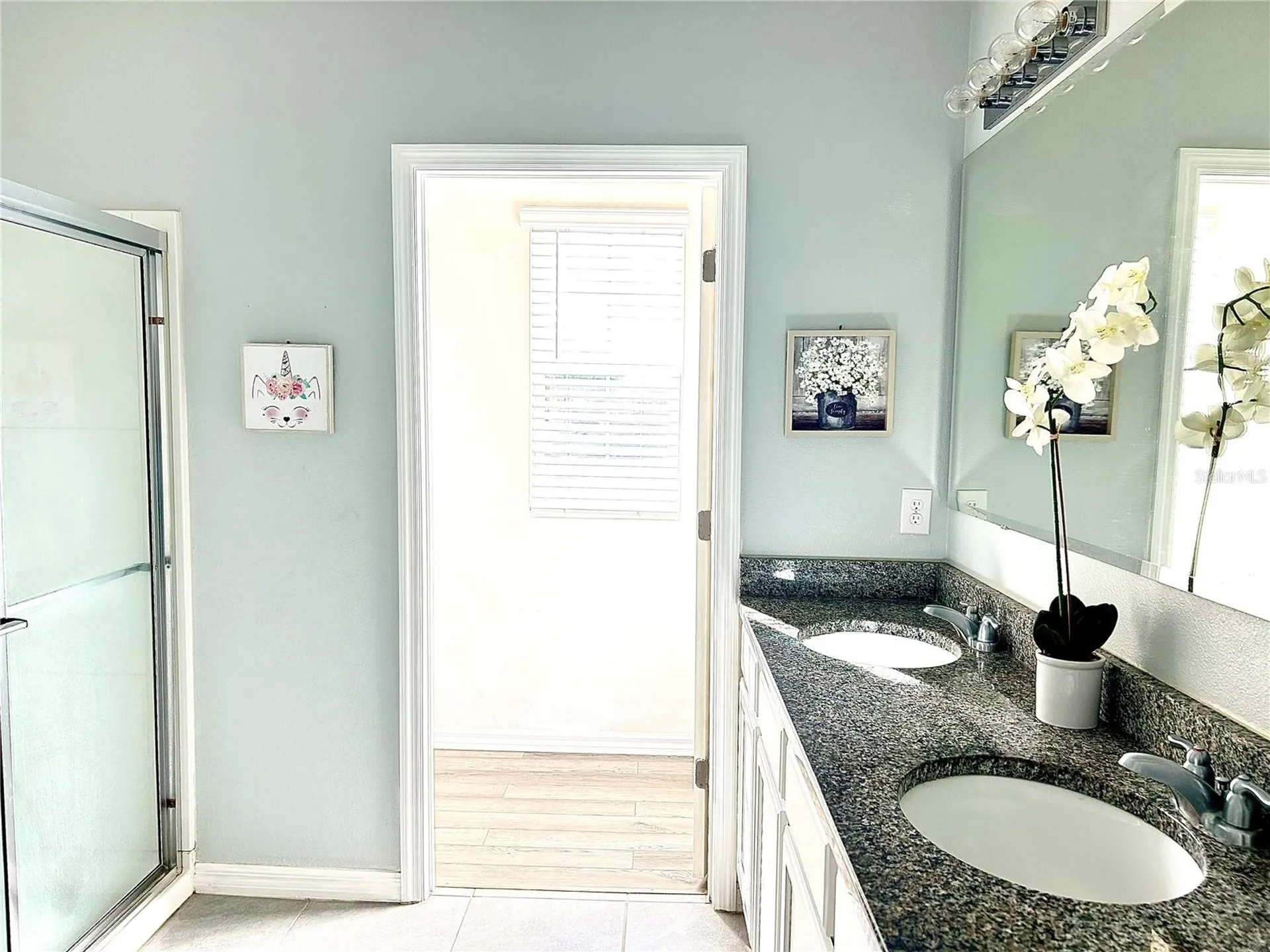 3048 Bethpage Loop Mount Dora FL 32757