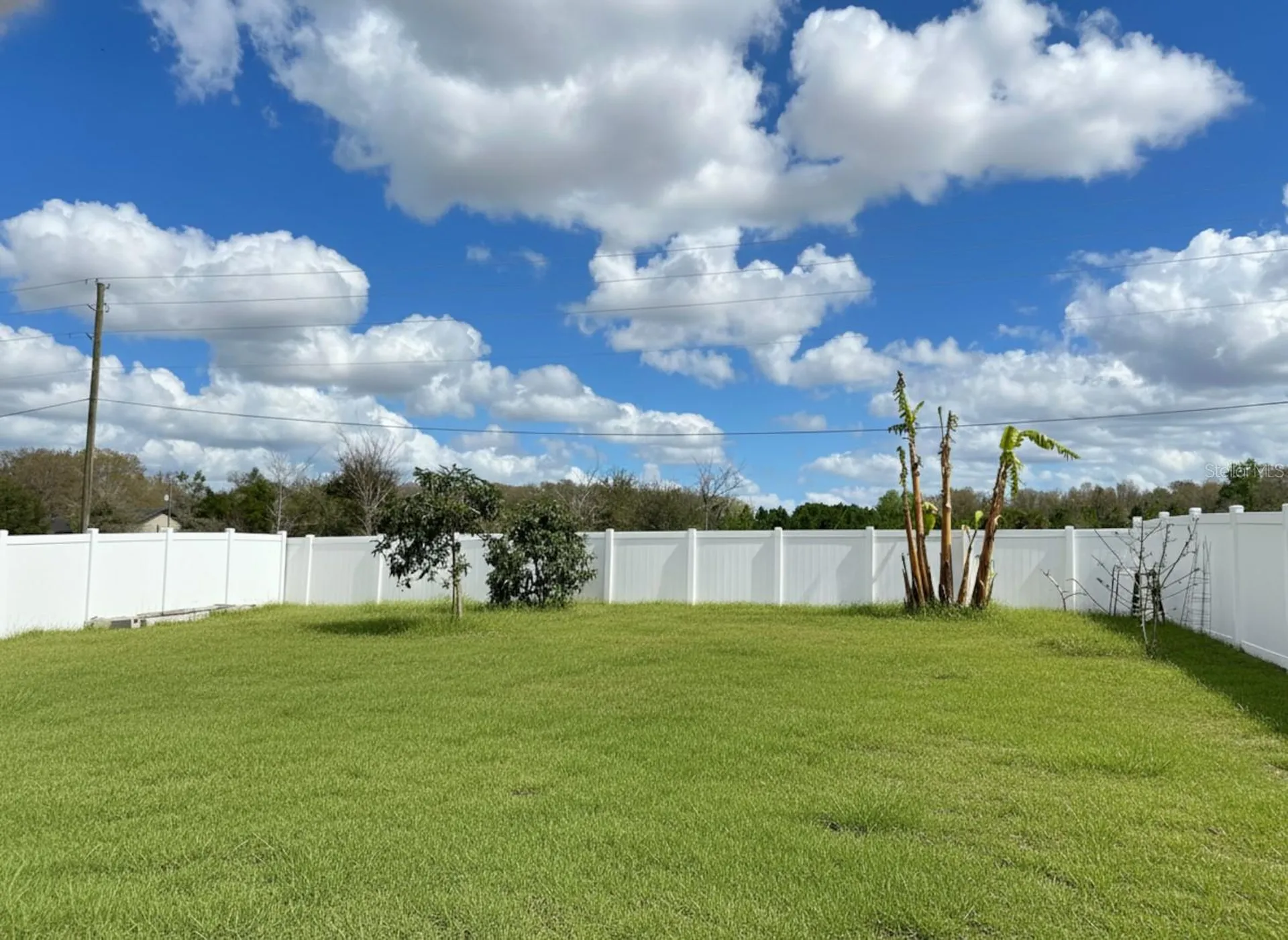 3048 Bethpage Loop Mount Dora FL 32757