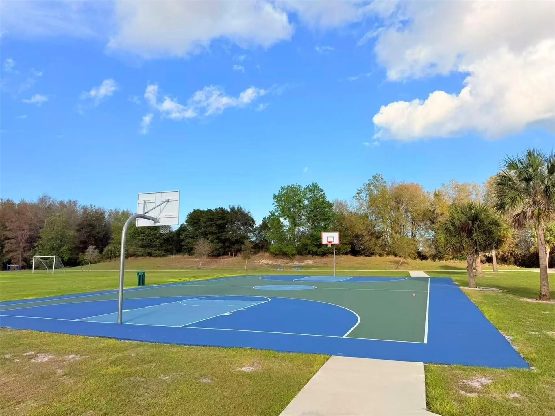 3048 Bethpage Loop Mount Dora FL 32757