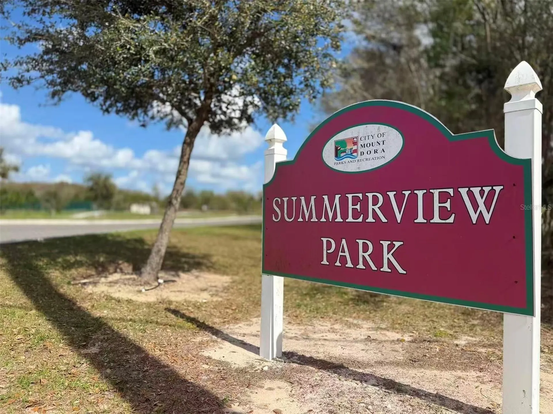 3048 Bethpage Loop Mount Dora FL 32757
