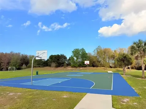 3048 Bethpage Loop Mount Dora FL 32757
