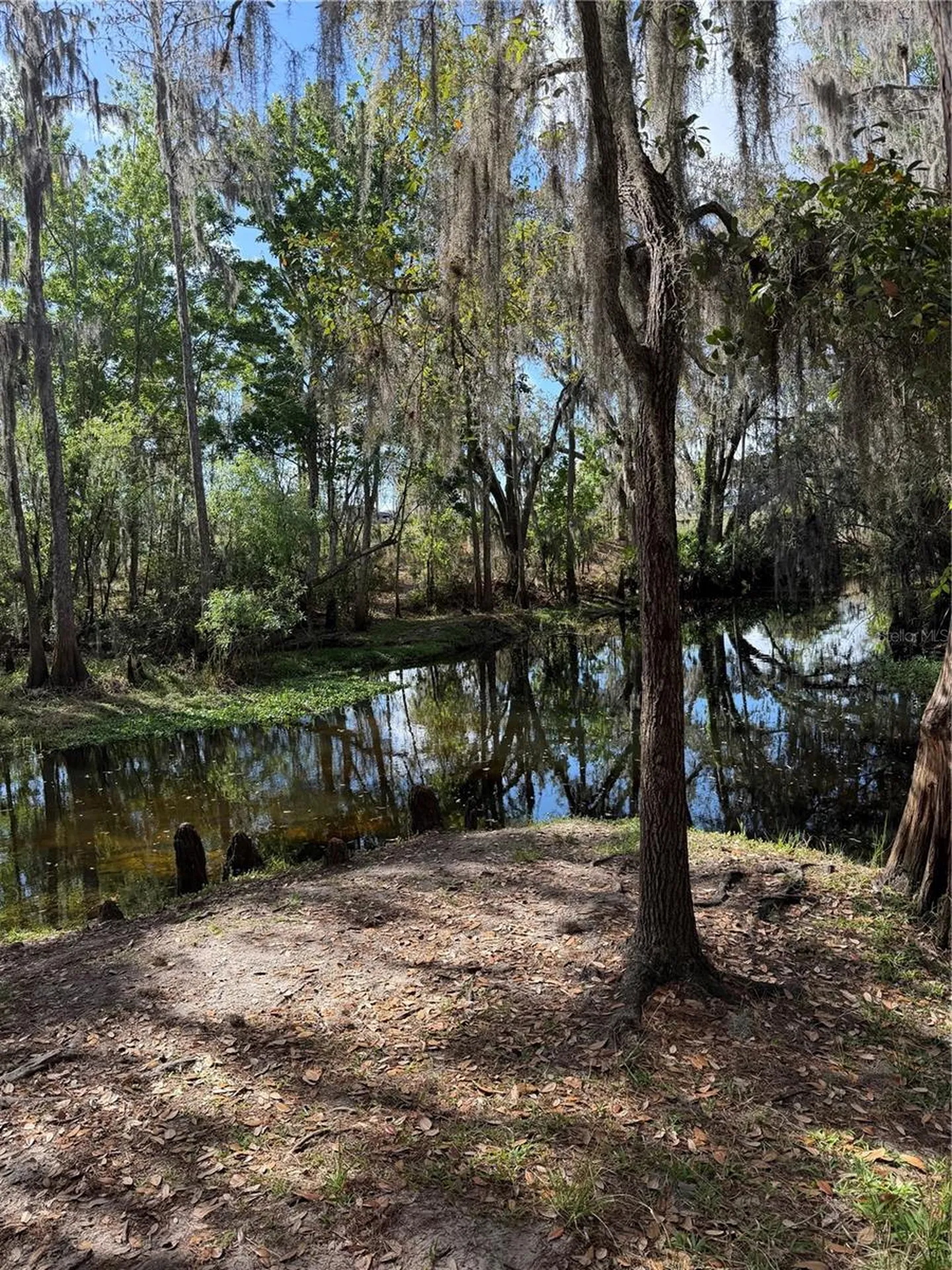 14535 Caplock Drive Orlando FL 32837