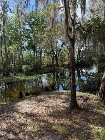 14535 Caplock Drive Orlando FL 32837