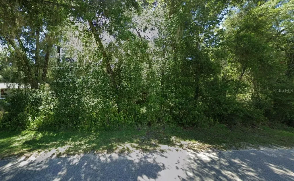 5266 S Romans Avenue Inverness FL 34452