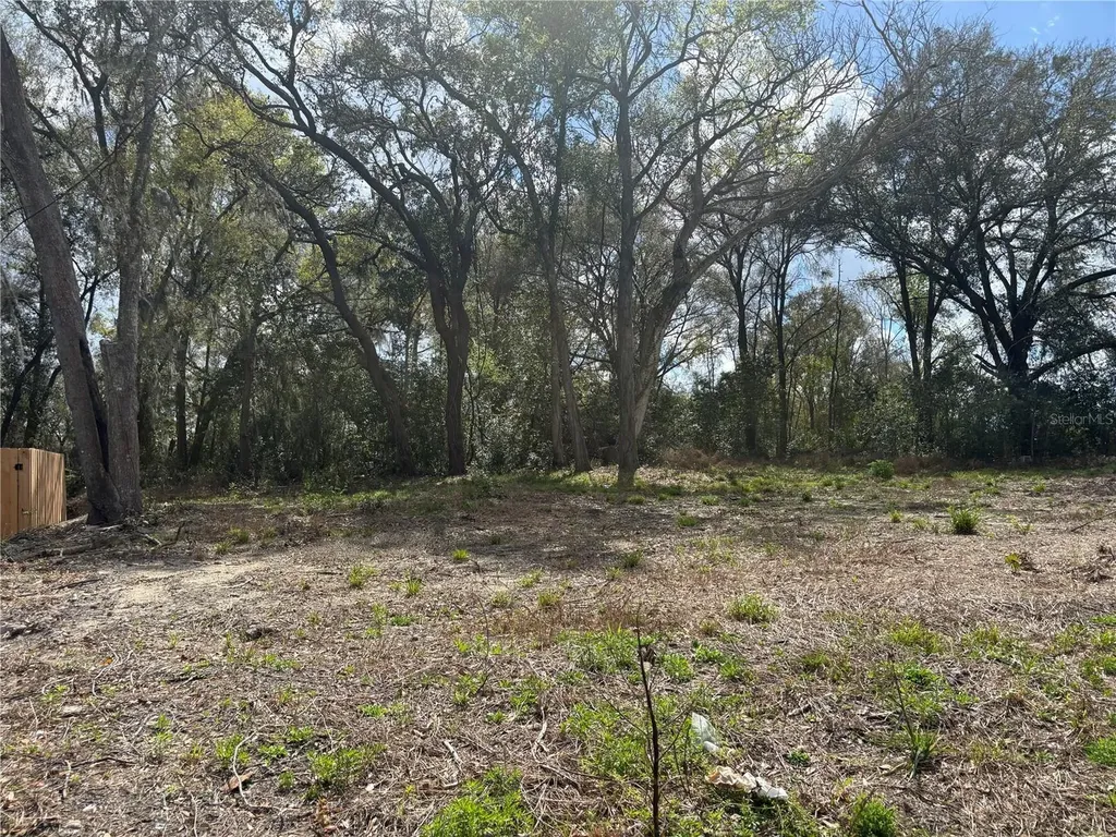 114 E Cleveland Street Apopka FL 32703