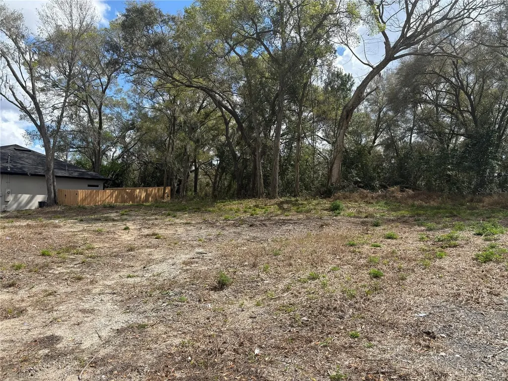 114 E Cleveland Street Apopka FL 32703