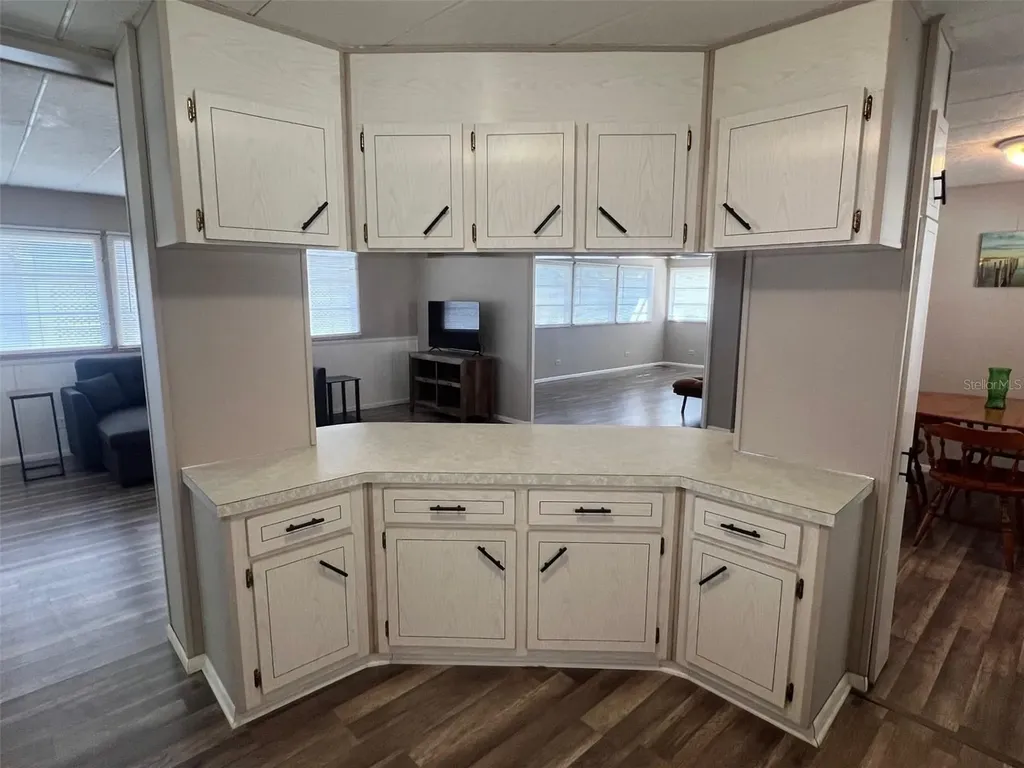 66 Thatch Palm Street W Largo FL 33770
