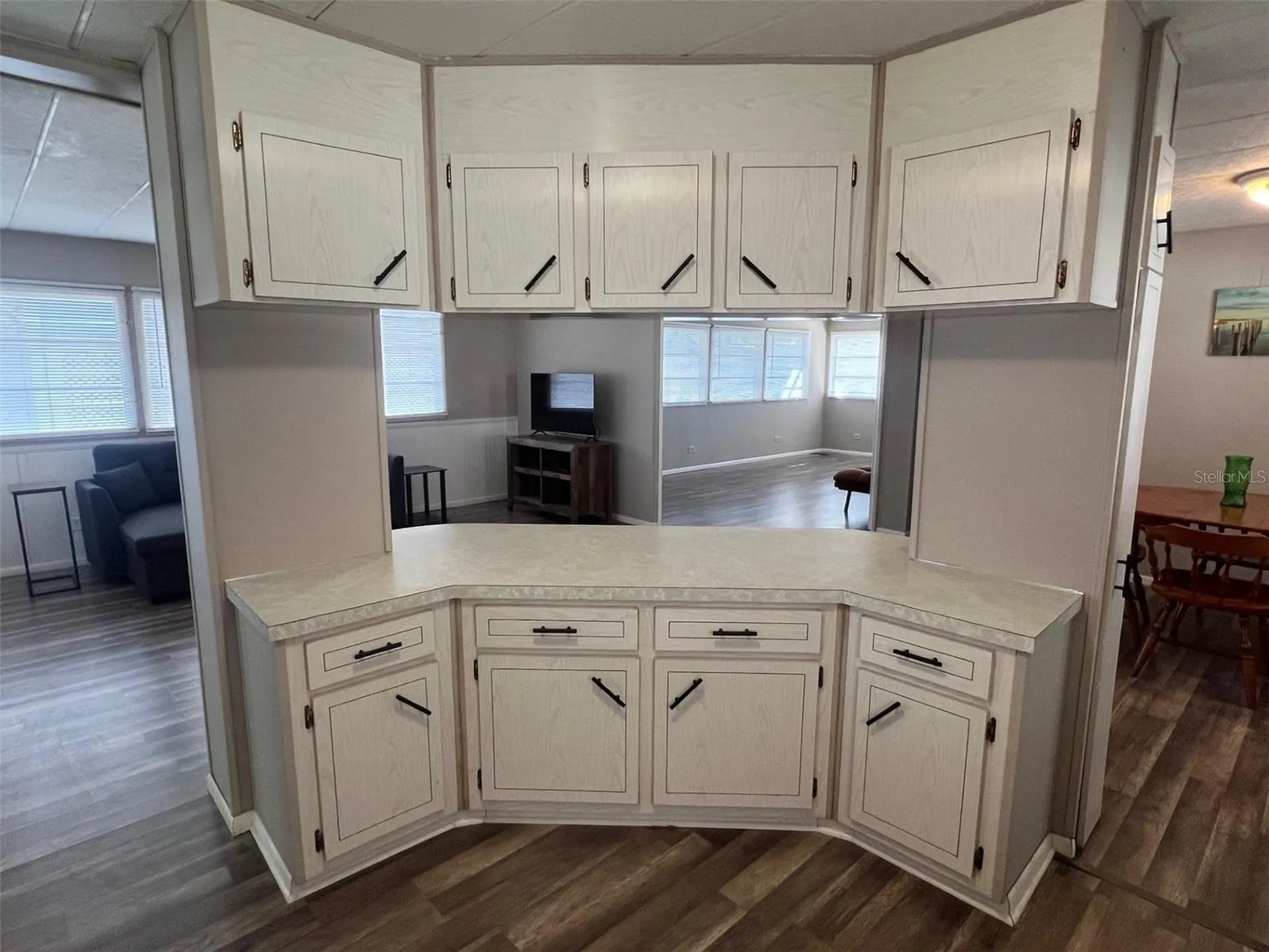 66 Thatch Palm Street W Largo FL 33770