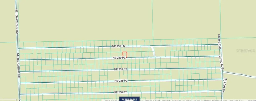 NE 243rd Place Road Fort Mc Coy FL 32134