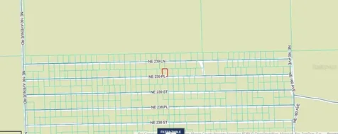 NE 243rd Place Road Fort Mc Coy FL 32134