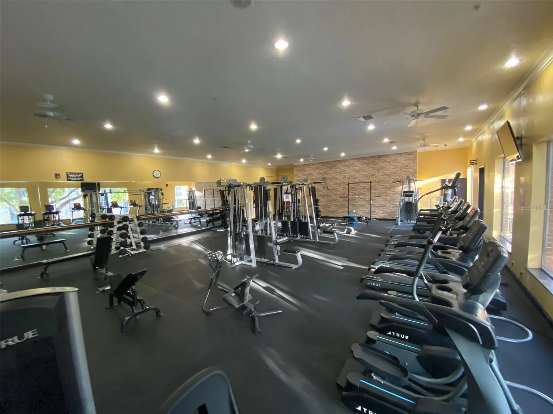 1810 E Palm Avenue Tampa FL 33605