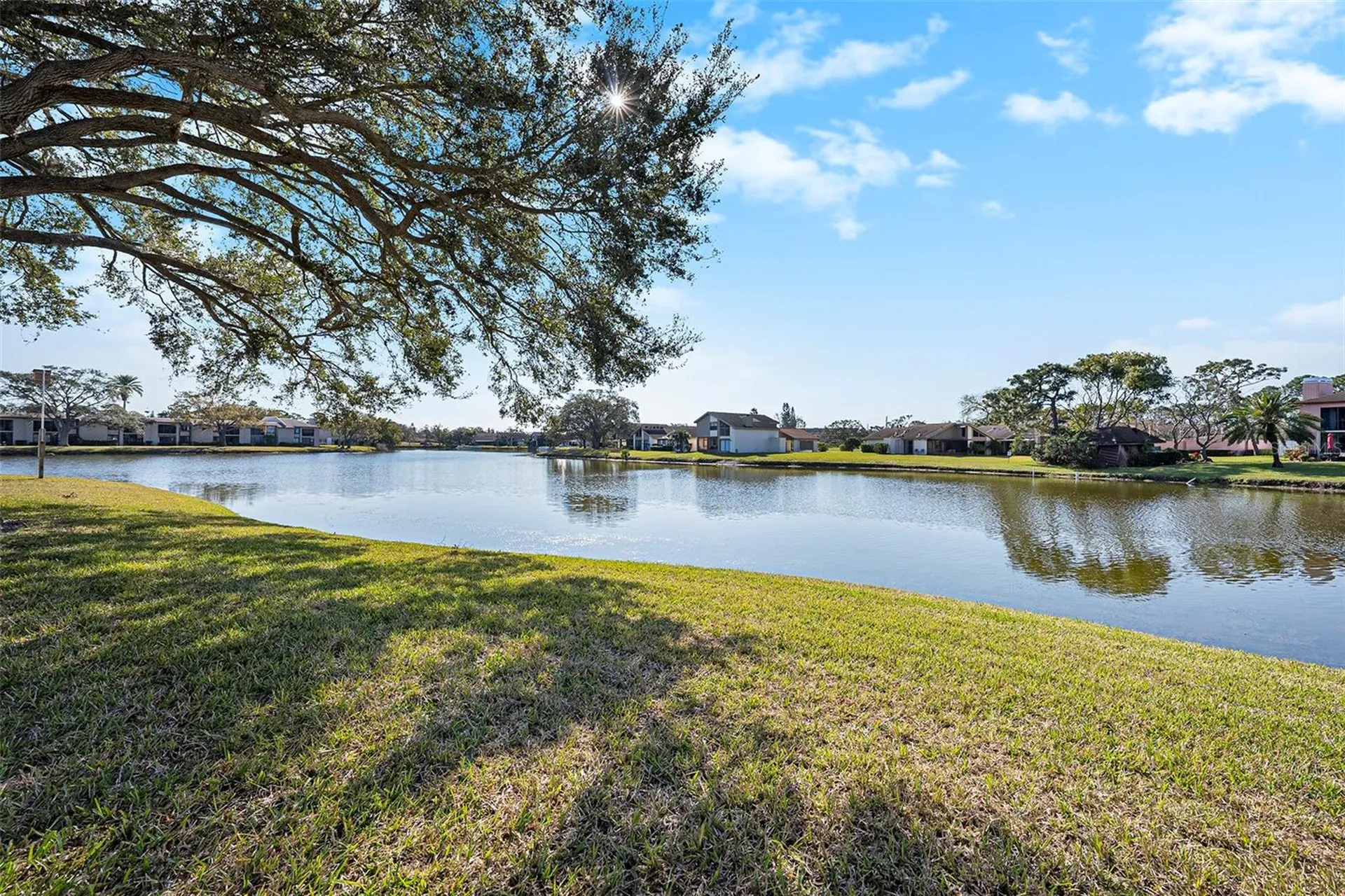 141 Lakeview Way Oldsmar FL 34677