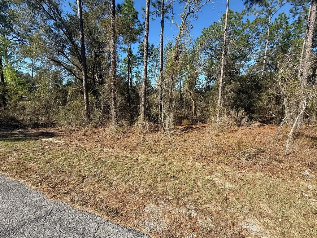 Lot 13 SE 129 Court Dunnellon FL 34431