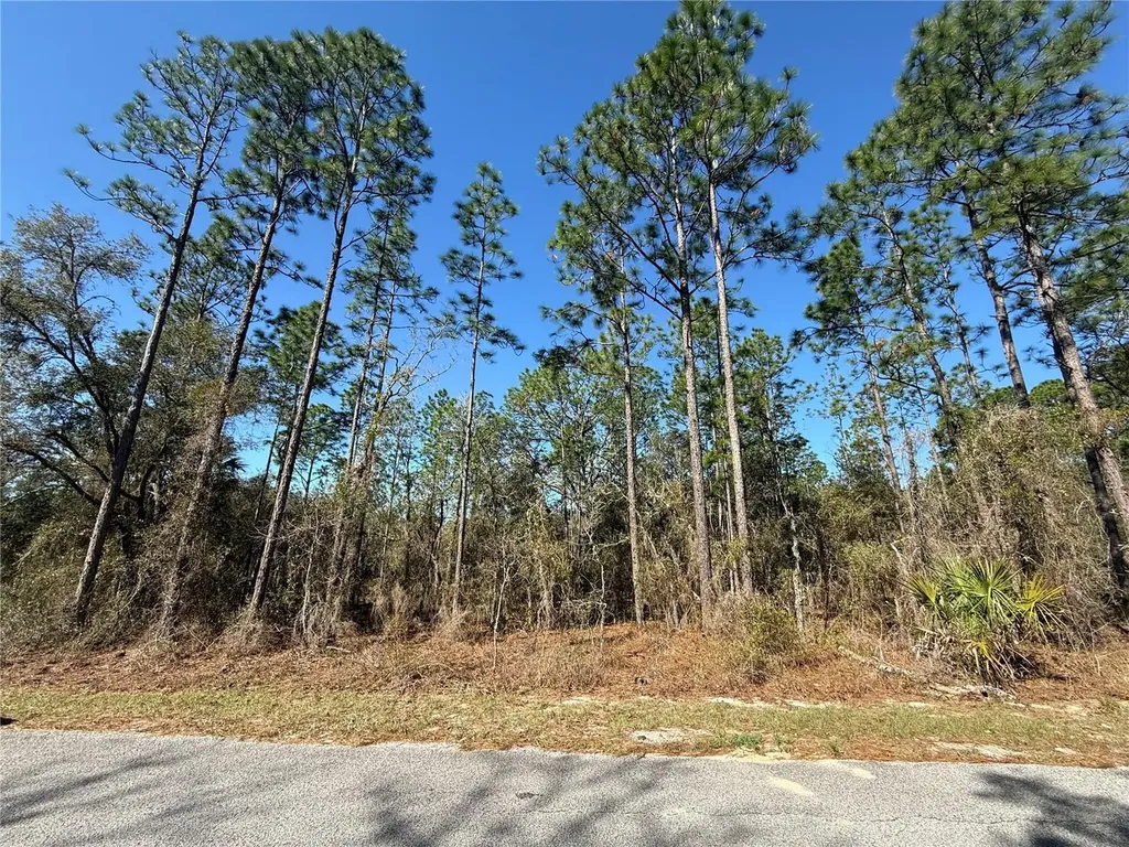 Lot 13 SE 129 Court Dunnellon FL 34431