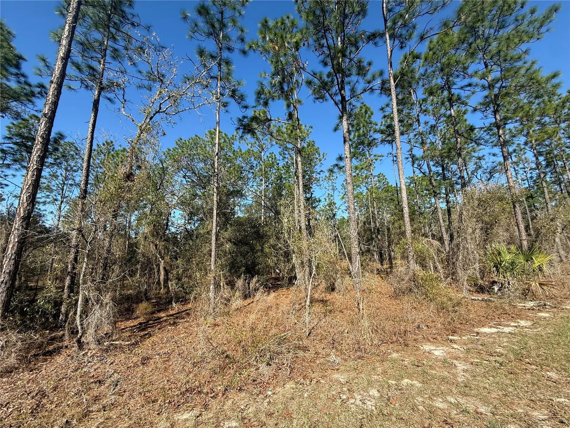 Lot 13 SE 129 Court Dunnellon FL 34431