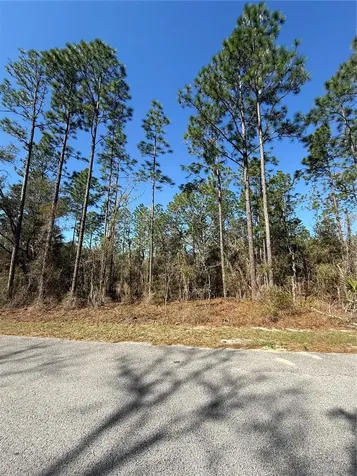 Lot 13 SE 129 Court Dunnellon FL 34431