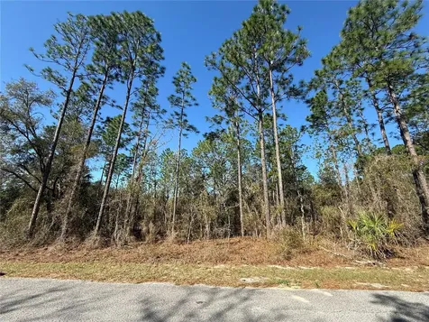 Lot 13 SE 129 Court Dunnellon FL 34431