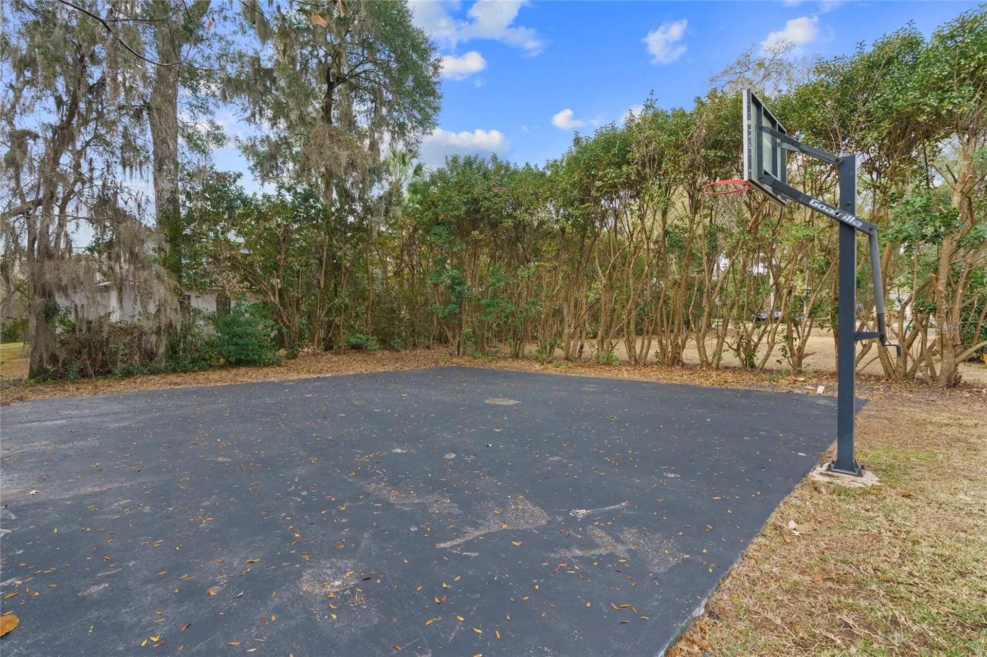 3409 SE 17th Court Ocala FL 34471
