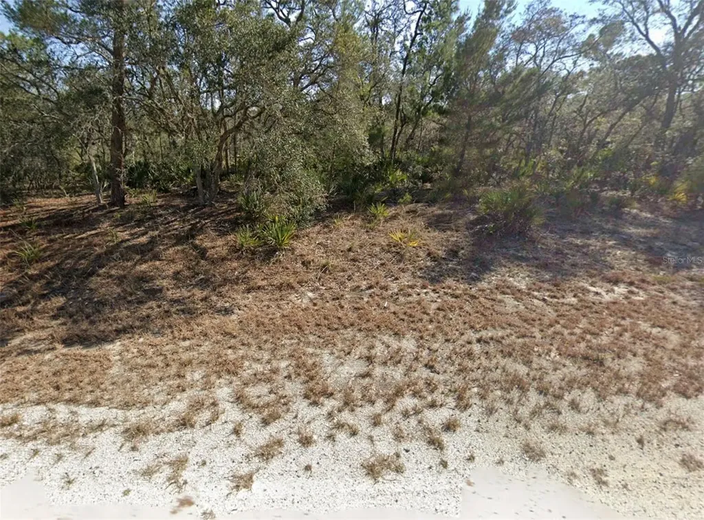 3218 Gossamer Avenue Lake Placid FL 33852
