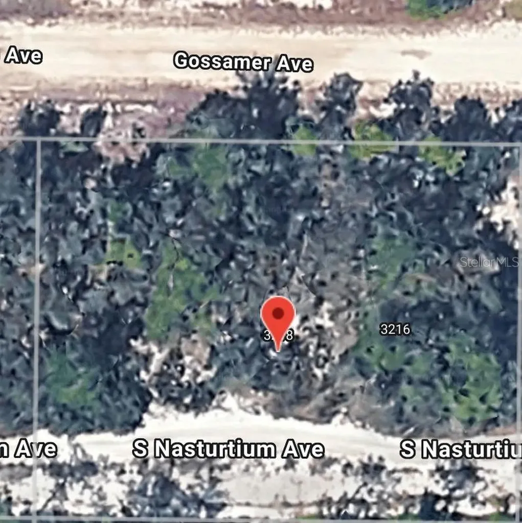 3218 Gossamer Avenue Lake Placid FL 33852
