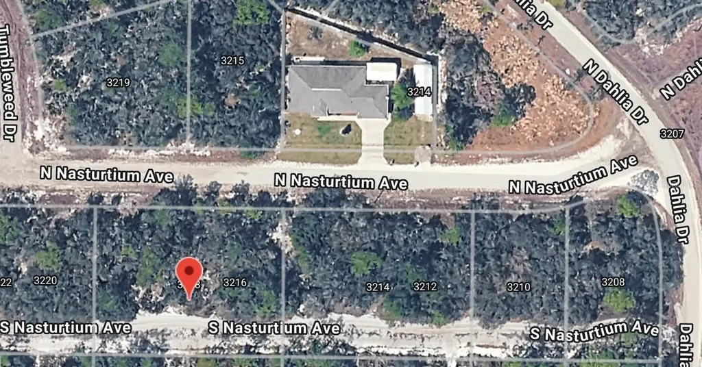 3218 Gossamer Avenue Lake Placid FL 33852