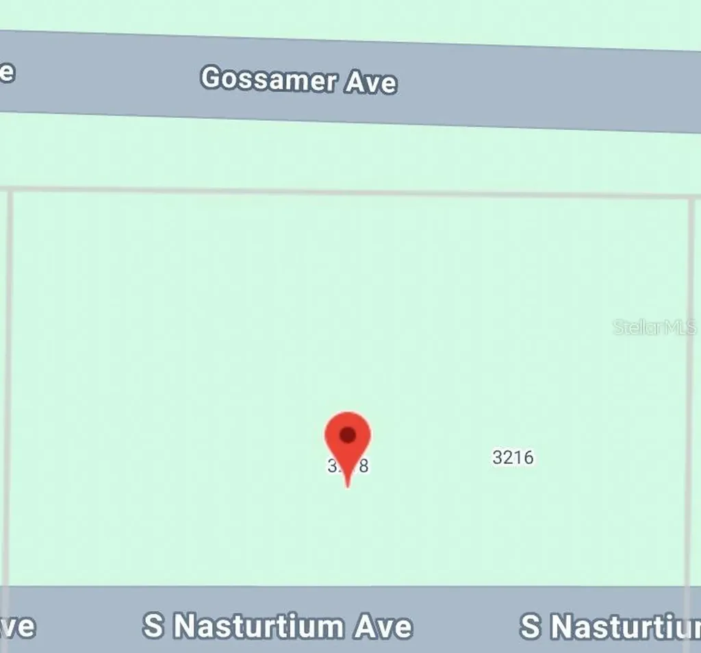 3218 Gossamer Avenue Lake Placid FL 33852