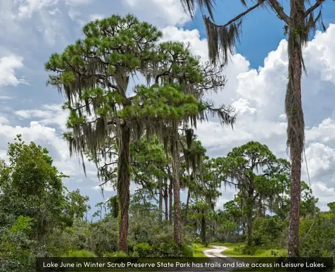 3218 Gossamer Avenue Lake Placid FL 33852