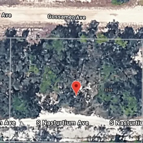 3218 Gossamer Avenue Lake Placid FL 33852