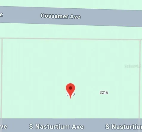 3218 Gossamer Avenue Lake Placid FL 33852