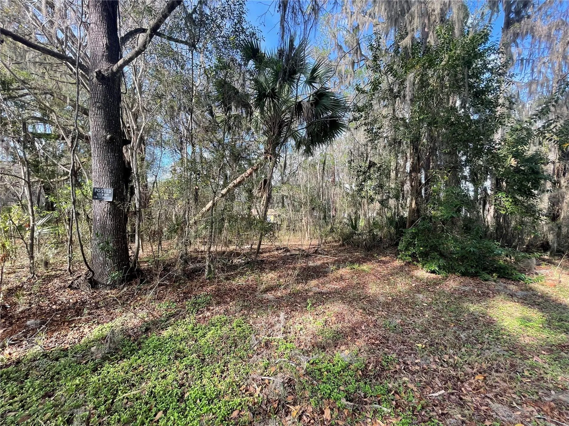 Tbd SE 40th Loop Ocala FL 34480