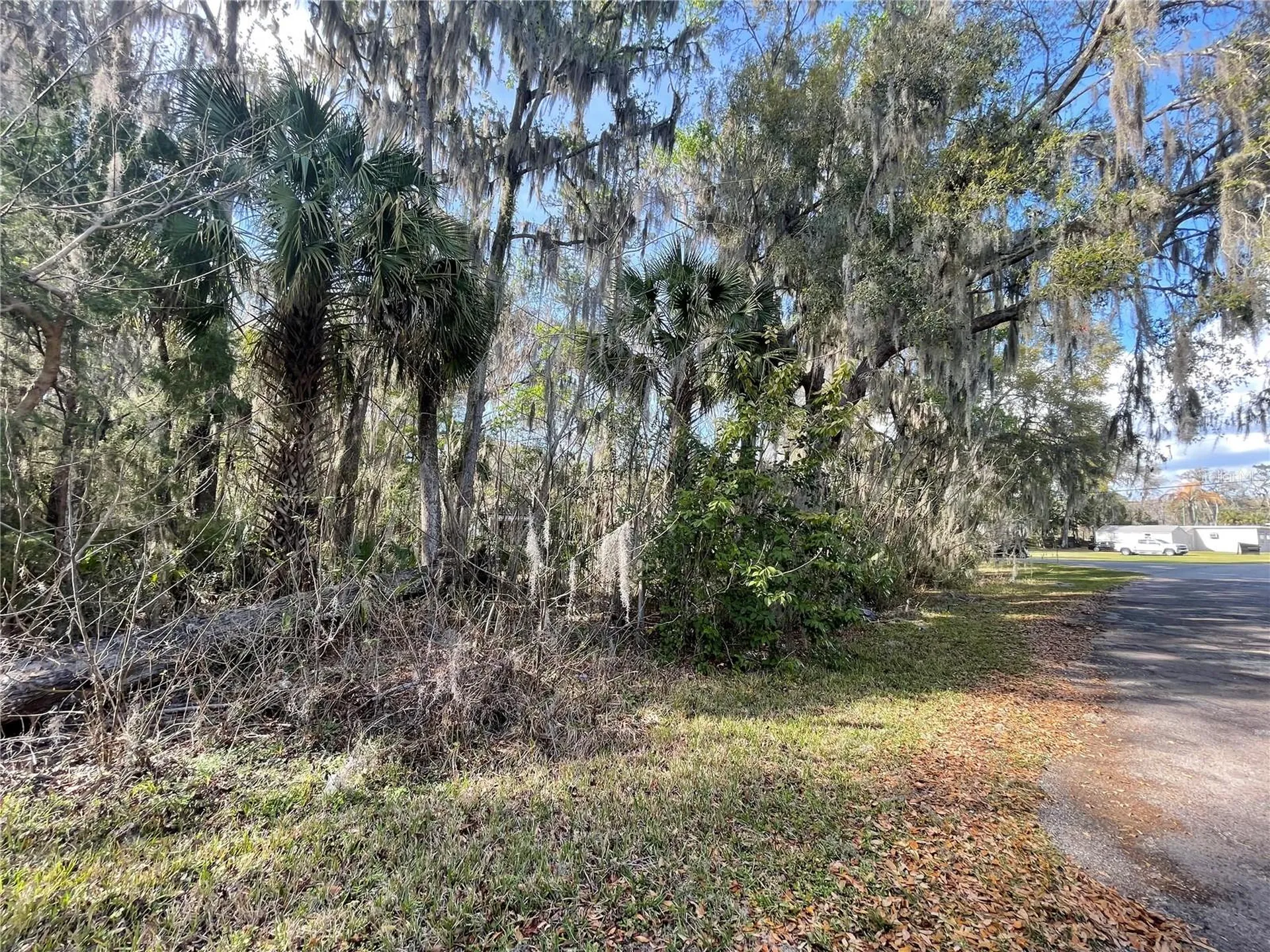 Tbd SE 40th Loop Ocala FL 34480