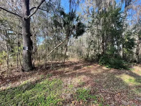 Tbd SE 40th Loop Ocala FL 34480