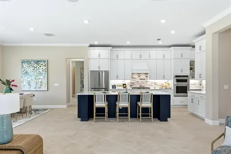 9213 Sand Dune Cove Parrish FL 34219