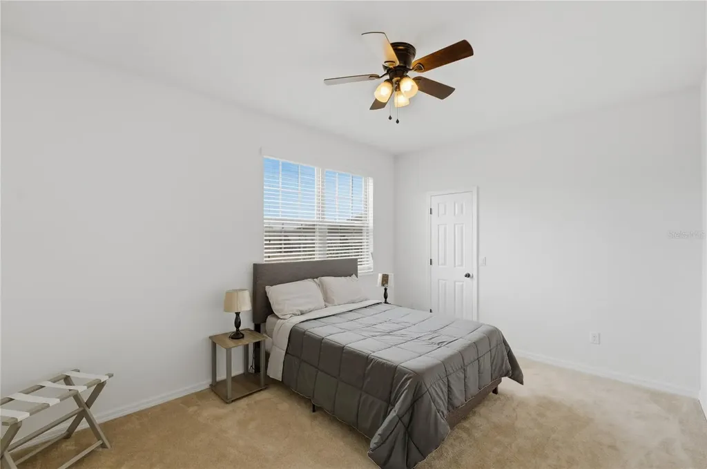 3129 Pinenut Drive Apopka FL 32712