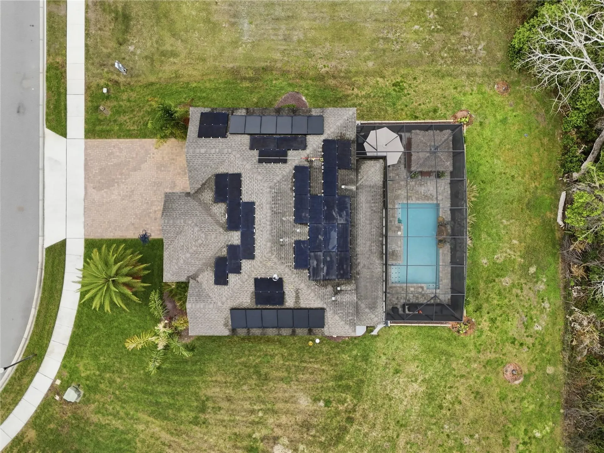 3129 Pinenut Drive Apopka FL 32712
