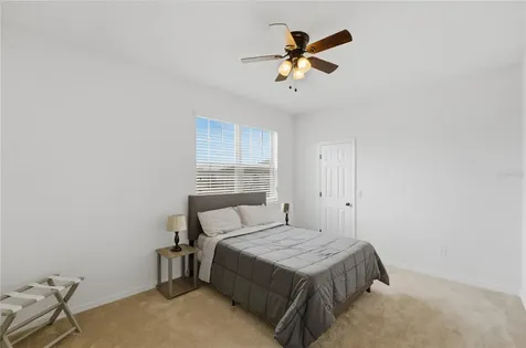 3129 Pinenut Drive Apopka FL 32712