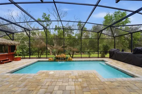 3129 Pinenut Drive Apopka FL 32712