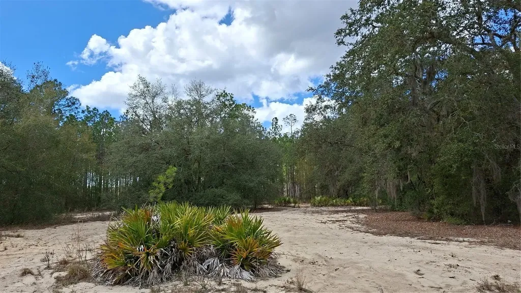 Fisher Way Ocklawaha FL 32179