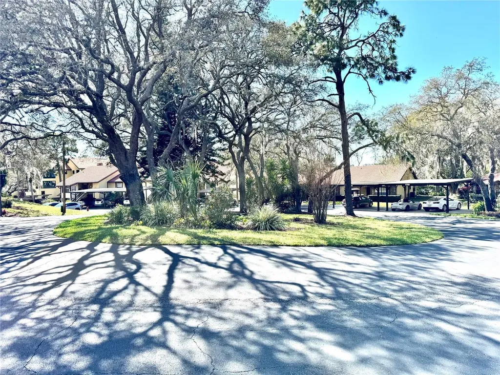 8636 Shadblow Court Port Richey FL 34668