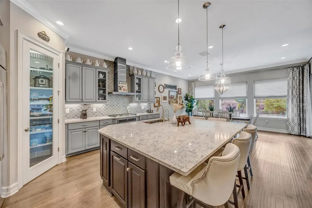 29256 Picana Lane Wesley Chapel FL 33543