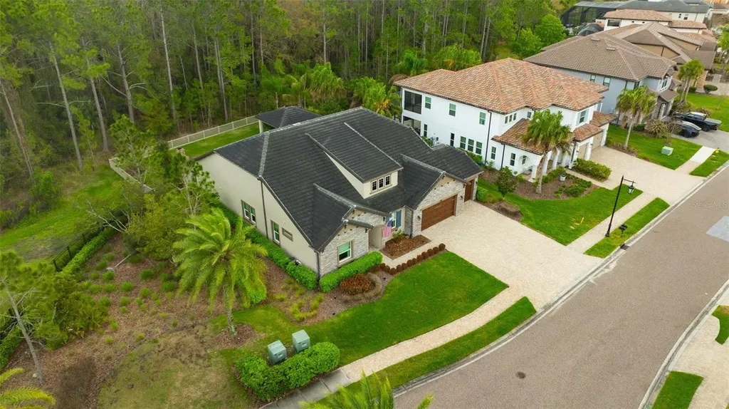29256 Picana Lane Wesley Chapel FL 33543