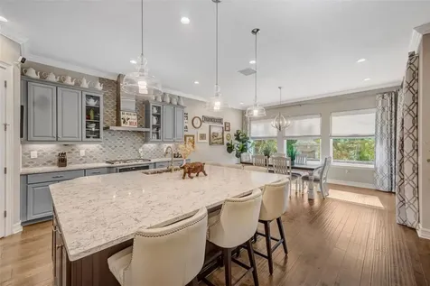 29256 Picana Lane Wesley Chapel FL 33543