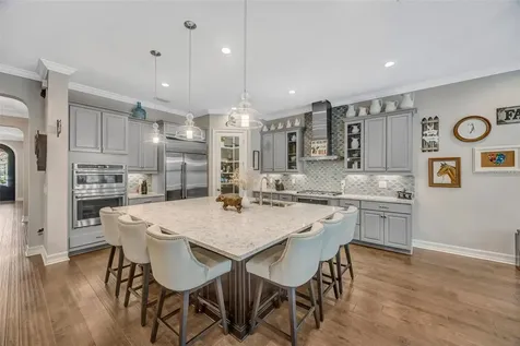 29256 Picana Lane Wesley Chapel FL 33543